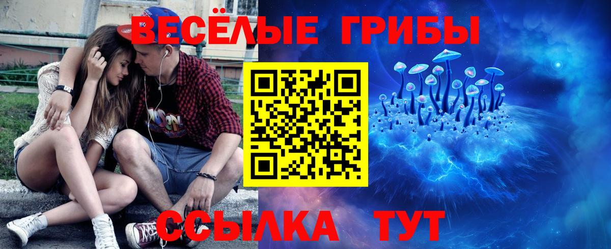 Галлюциногенные грибы мицелий  Псилоцибиновые грибы Psilocybe  Бузулук  Вход с VPN 
